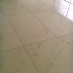 fotos de polimento 030